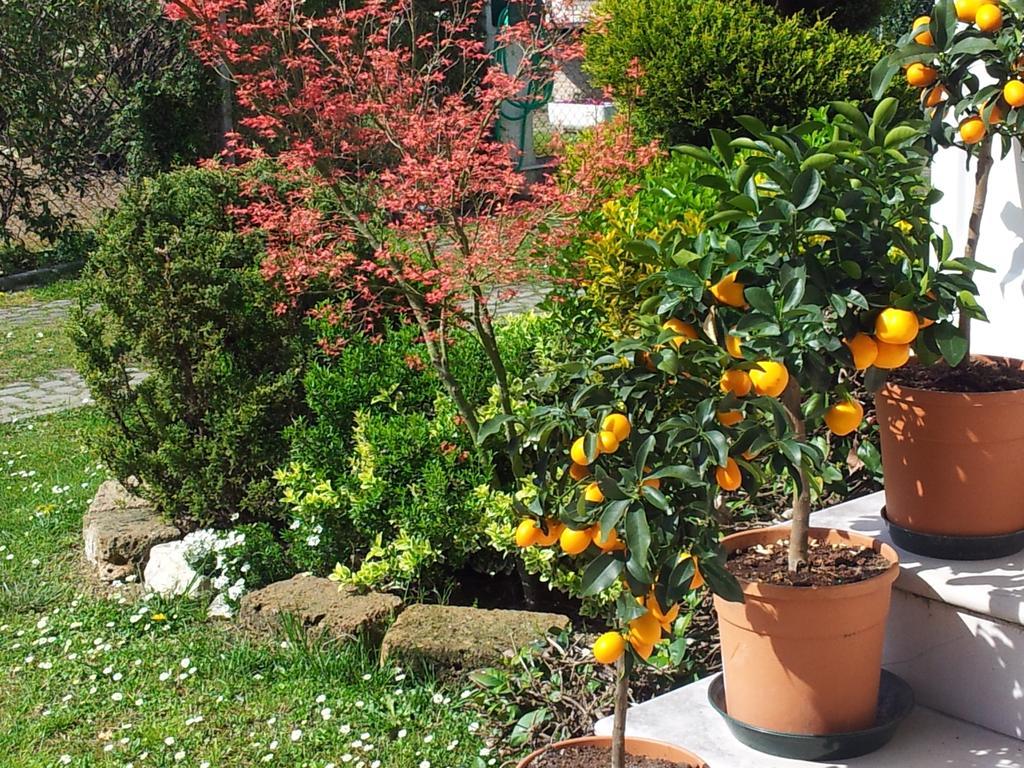 Dear Venice Bed & Breakfast Marghera